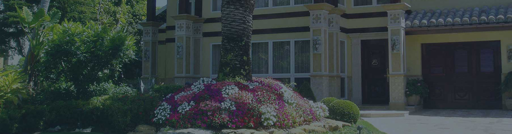 plants flowers trees landscaping