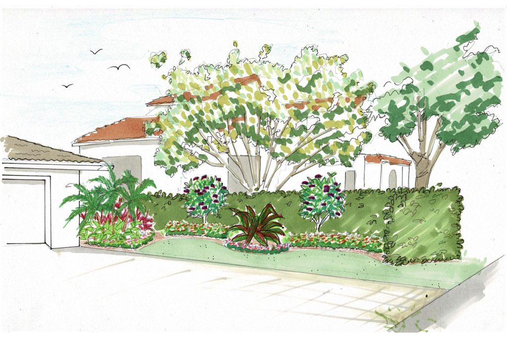 Driveway Landscape Drawing